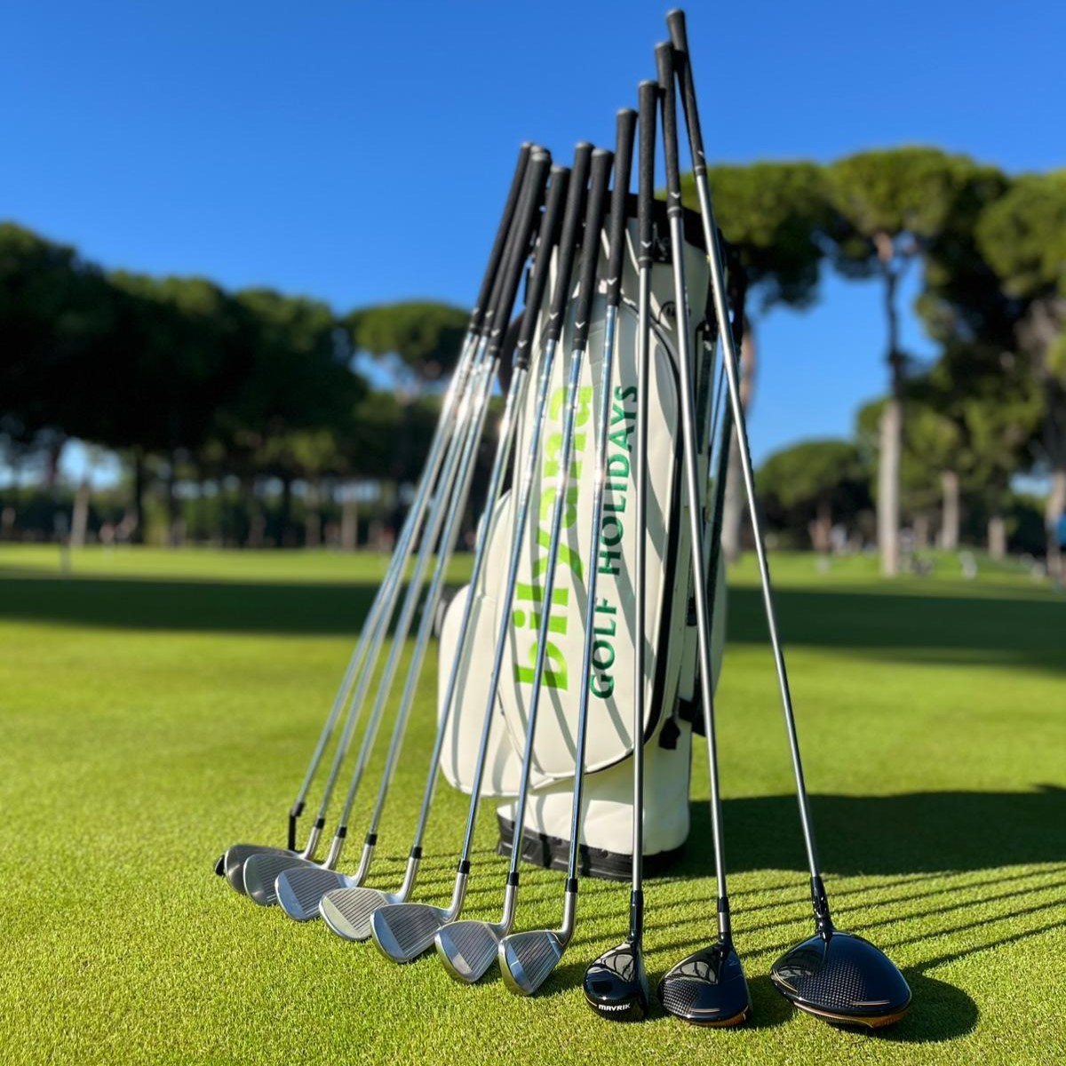 https://bilyanagolf.fr/files/imaj/clubhire1.jpg