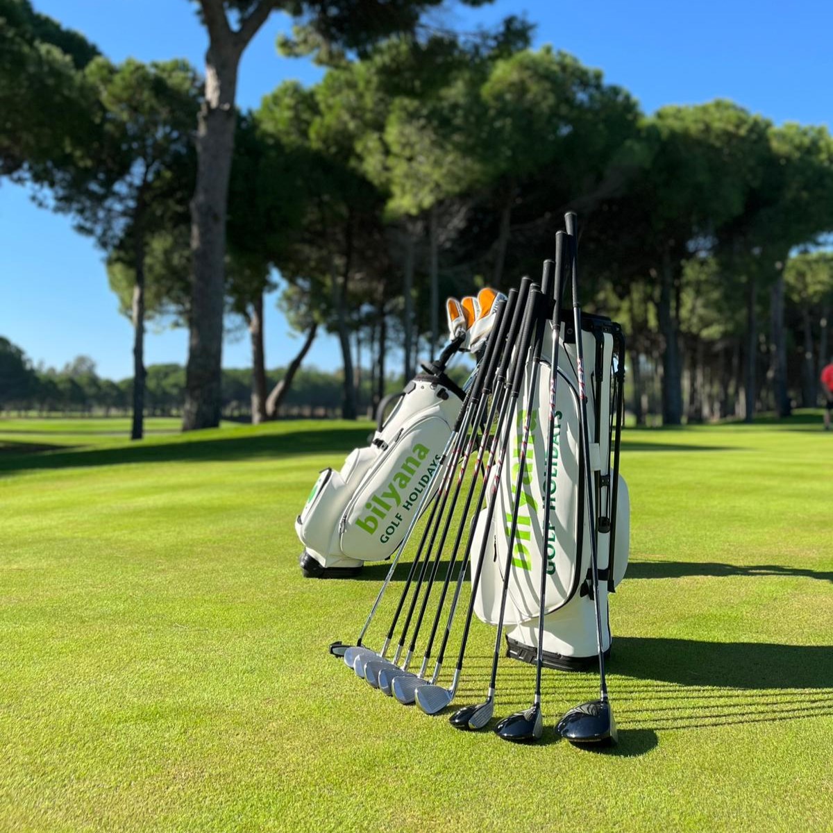 https://bilyanagolf.fr/files/imaj/clubhire3.jpg